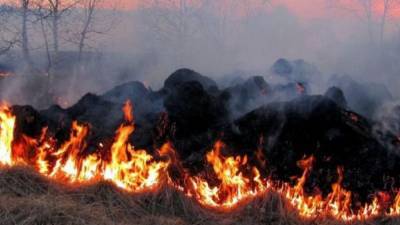 Под Донецком сгорела передовая позиция террористов «ДНР»