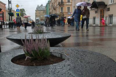 Шведский циклон принес в Петербург штормовой ветер, но к понедельнику потеплеет