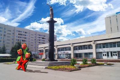 Этим летом улицы Ульяновска украсят новые цветники и миксбордеры