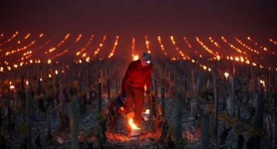 Провинциальные районы Франции осветились огнями «контролируемых» костров (ВИДЕО)