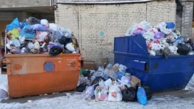Кабмин РФ изменил политику тарифов в сфере вывоза и утилизации мусора
