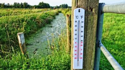 Климатолог Семенов предсказал теплое лето в России
