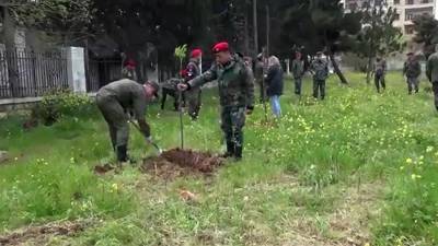 Российские военные и русская диаспора помогли с озеленением Алеппо