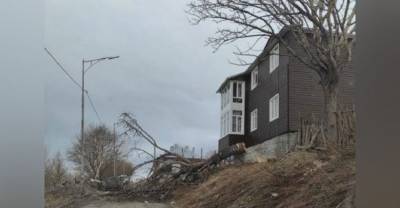 Сорванные крыши, поваленные деревья: на Петропавловск-Камчатский обрушился ураганный ветер