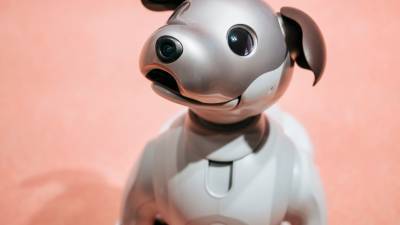 Шустрая, не лает и не кусается: в КНР создали робота-собаку с искусственным интеллектом