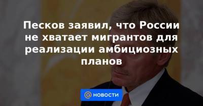 Песков заявил, что России не хватает мигрантов для реализации амбициозных планов