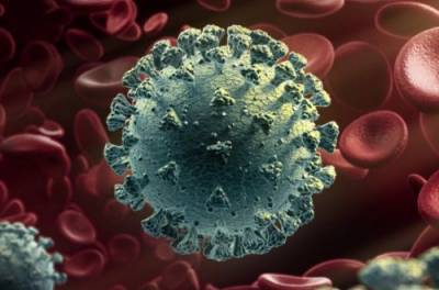 От коронавирусной инфекции выздоровели уже 76 млн человек