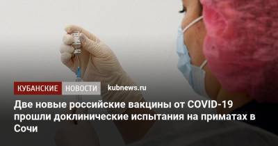Две новые российские вакцины от COVID-19 прошли доклинические испытания на приматах в Сочи