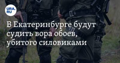 В Екатеринбурге будут судить вора обоев, убитого силовиками