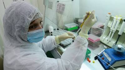 Новые российские вакцины от коронавируса испытали на обезьянах