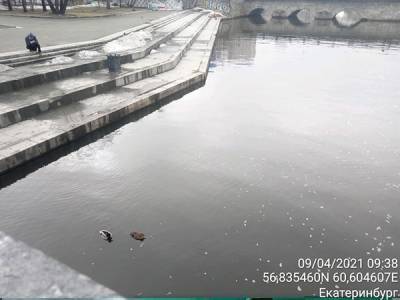 В мэрии Екатеринбурга рассказали о подозрительных выбросах в реку Исеть