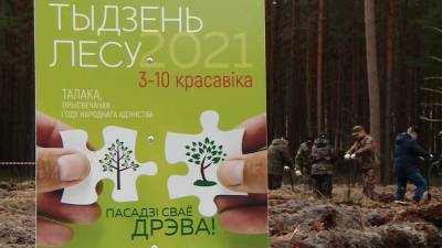 «Неделя леса» в Брестской области – 2 миллиона новых деревьев