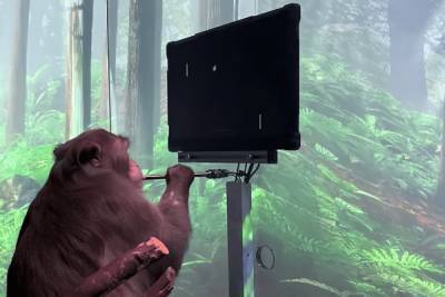 Стартап Neuralink Илона Маска показал обезьяну с вживленным чипом, играющую в пинг-понг силой мысли [Видео]
