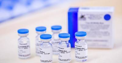 ЕАЛ изучает сообщения о четырех смертях после прививки вакциной "Спутник V"