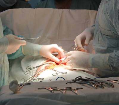 В Японии проведена первая в мире пересадка легкого от живых доноров пациенту с серьезным повреждением от COVID-19