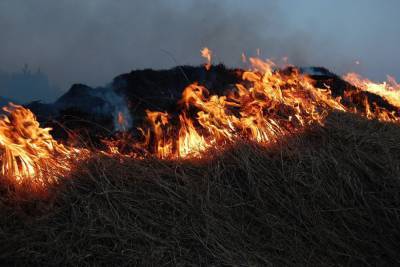В ДНР горит сухая растительность