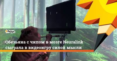 Обезьяна с чипом в мозге Neuralink сыграла в видеоигру силой мысли