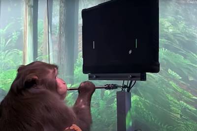 Стартап Илона Маска опубликовал видео с обезьяной, играющей в видеоигры силой мысли
