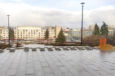 Ради растений в Липецке разобрали плитку на Театральной площади