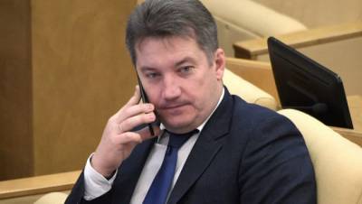Месяц размышлял: депутат Госдумы все же извинился за пьяный дебош в самолете