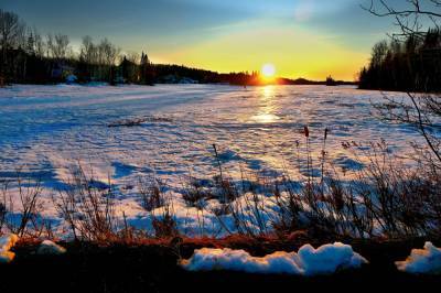 До +12 градусов тепла ожидается в выходные дни в Архангельской области