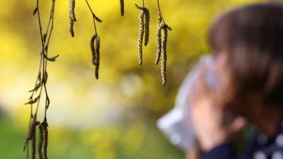 В Роспотребнадзоре дали советы людям с сезонной аллергией