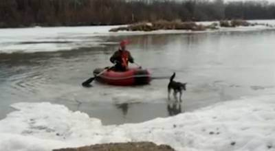 Житель Башкирии спас застрявшую на льдине собаку
