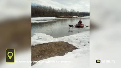 Житель Стерлитамака на надувной лодке спас собаку с льдины