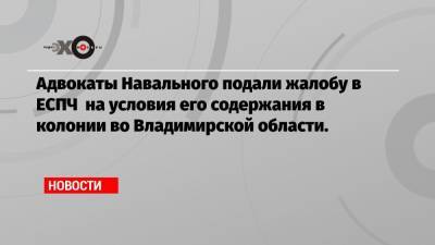 Адвокаты Навального подали жалобу в ЕСПЧ на условия его содержания в колонии во Владимирской области.
