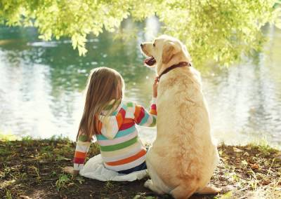 Домашний любимец в семье: каких особенностей обращения с животным должны научить детей родители
