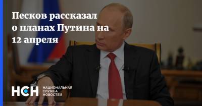 Песков рассказал о планах Путина на 12 апреля