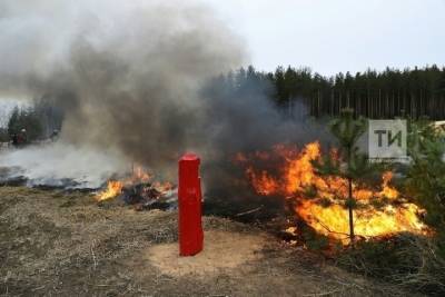 За сжигание травы хозяйства Татарстана оставят без субсидий