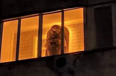 В киевской многоэтажке появился свой фараон? Жители распознали «египетский саркофаг»