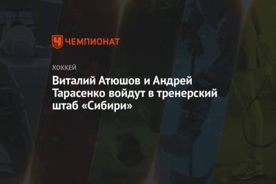 Виталий Атюшов и Андрей Тарасенко войдут в тренерский штаб «Сибири»