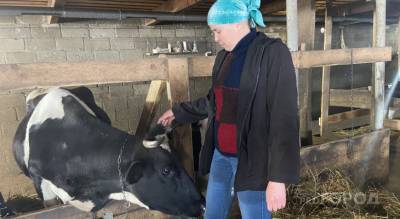 Супруги из Моргаушского района завели коров и стали работать на себя: "На наемный труд не вернемся"