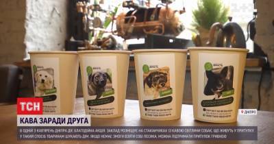 В Днепре кофейня на своих чашках рекламирует собак из приюта, которые ищут хозяев