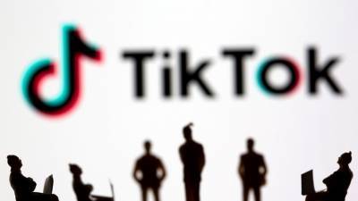 В Госдуме заявили, что TikTok готов сотрудничать с властями России