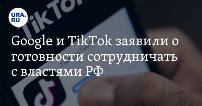 Google и TikTok заявили о готовности сотрудничать с властями РФ