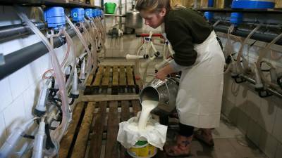 Фермеры поддержали разрешение на продажу в торговых сетях немаркированного молока