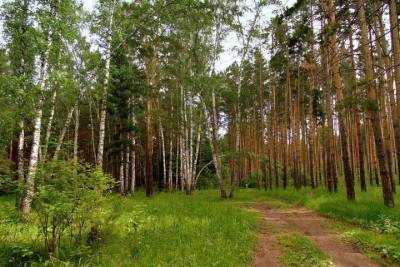 Лесной фонд Тверской области вновь увеличится