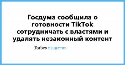 Госдума сообщила о готовности TikTok сотрудничать с властями и удалять незаконный контент