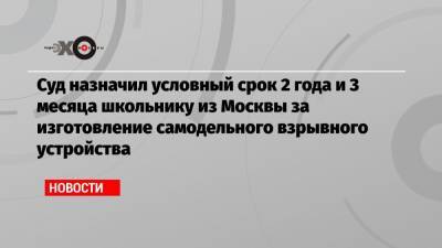 Суд назначил условный срок 2 года и 3 месяца школьнику из Москвы за изготовление самодельного взрывного устройства