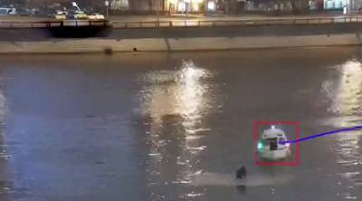 Спасение девушки с льдины на Москве-реке попало на видео
