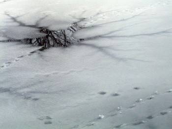 В Вологодской области закрыты почти все ледовые переправы