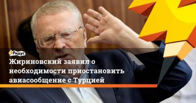 Жириновский заявил о необходимости приостановить авиасообщение с Турцией