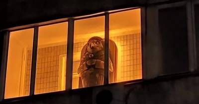 "Надеюсь, внутри пусто": в Киеве на балконе заметили древнеегипетский саркофаг (фото)