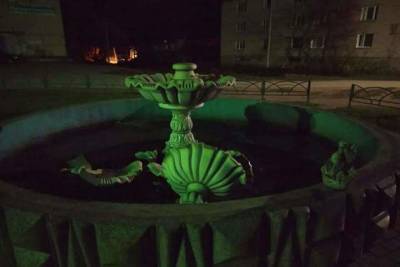 Разломавшая фонтан великолучанка заплатит штраф более 50 тысяч рублей
