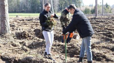 Сотрудники университета МЧС во время Недели леса высадили более 7,6 тыс. саженцев