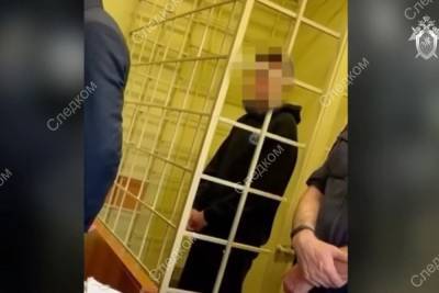 В Краснодаре арестован подросток, обвиняемый в нападении с битой на прохожую