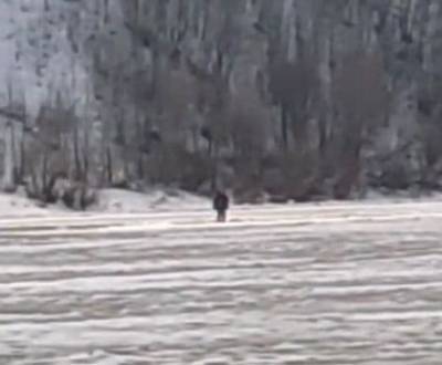 Нижегородские спасатели сняли рыбака с дрейфующей льдины на Оке